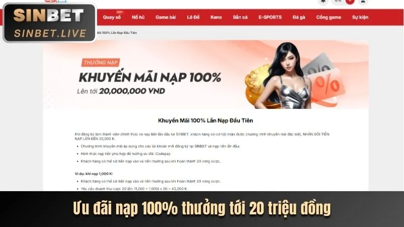 Chương trình VIP độc quyền với các phần thưởng cao cấp